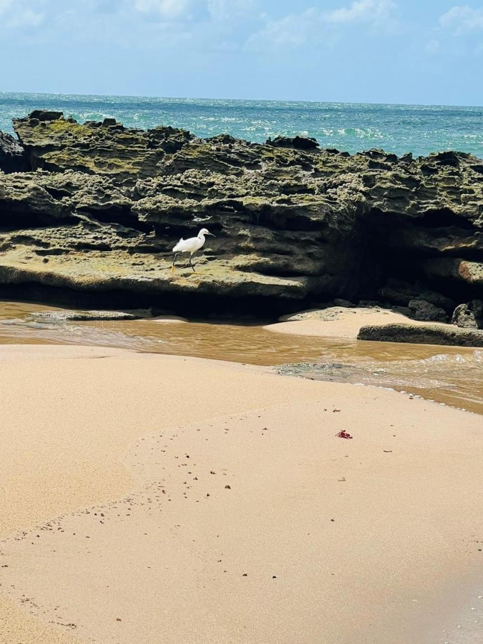 Casa de férias Casa Dos Sonhos Em Serrambi Porto de Galinhas